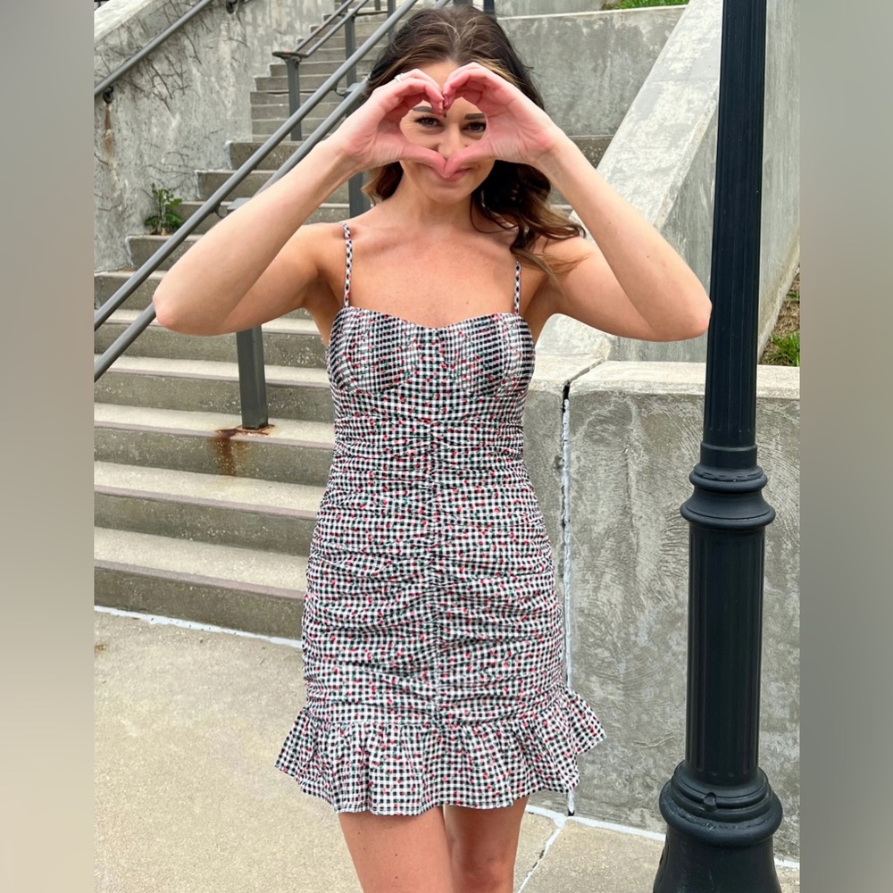 NWT Storia roses and gingham mini dress
